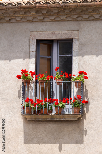 Fototapeta Naklejka Na Ścianę i Meble -  Nice windows with geranium flowers in a spanish town Gerona.