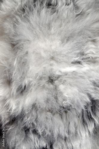 Abstract fur background. Sheepskin rug.