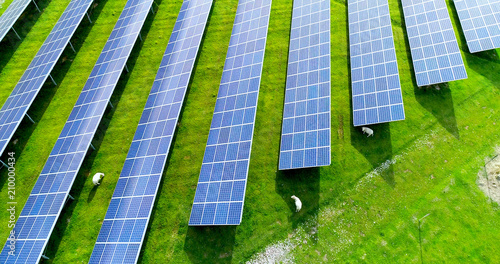 champs de panneaux solaire dans une ferme solaire