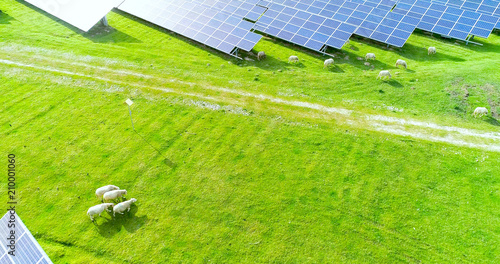 champs de panneaux solaire dans une ferme solaire photo