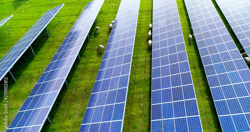 champs de panneaux solaire dans une ferme solaire photo