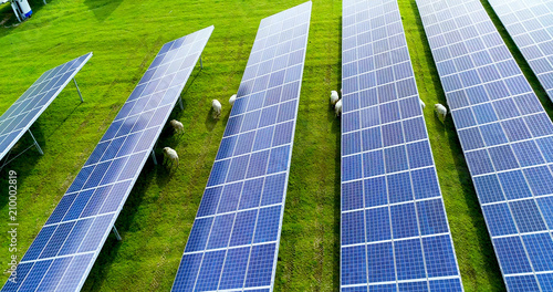 champs de panneaux solaire dans une ferme solaire