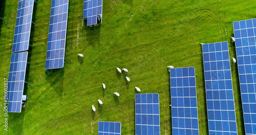 champs de panneaux solaire dans une ferme solaire