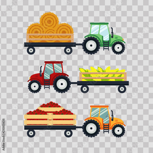 Set flat tractors with a cart corn, hay, tomato on transparent background. The agricultural machinery transports for farm with harvest - vector illustration
