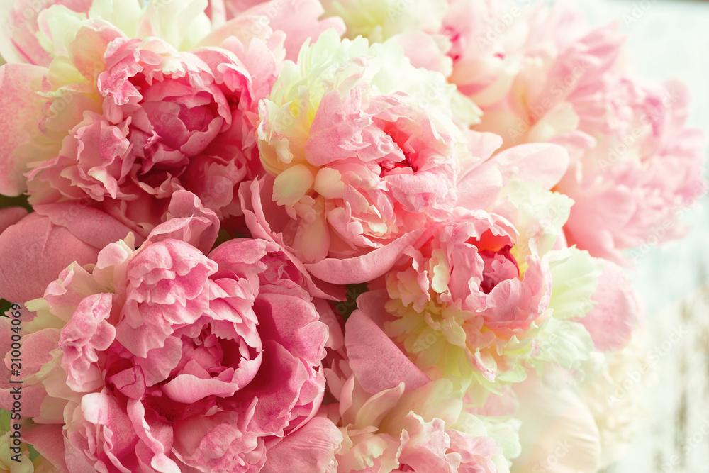 Fototapeta Puszyste różowe piwonie kwiaty tło