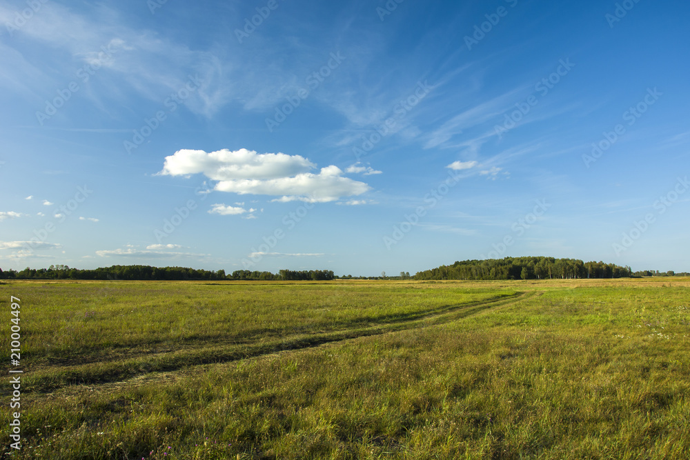 Road through the meadow and cloud in the sky