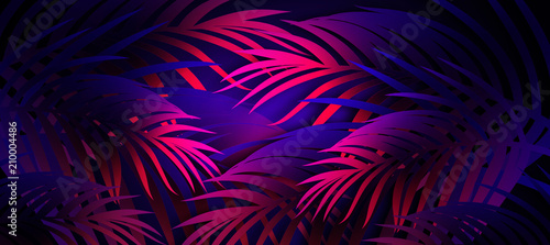 Neon background with tropical leaves © MiaStendal