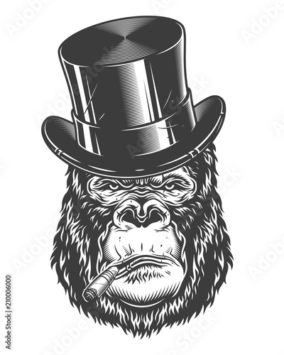 Head of gorilla