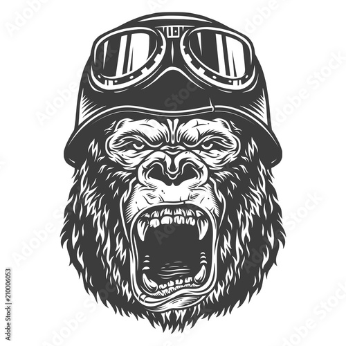 Head of gorilla