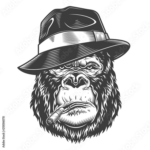 Head of gorilla