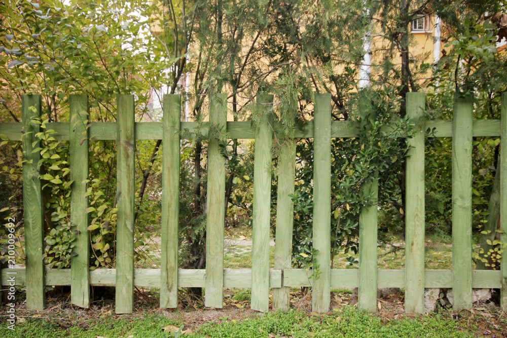 Wooden fence on green garden Wooden fence on green garden
