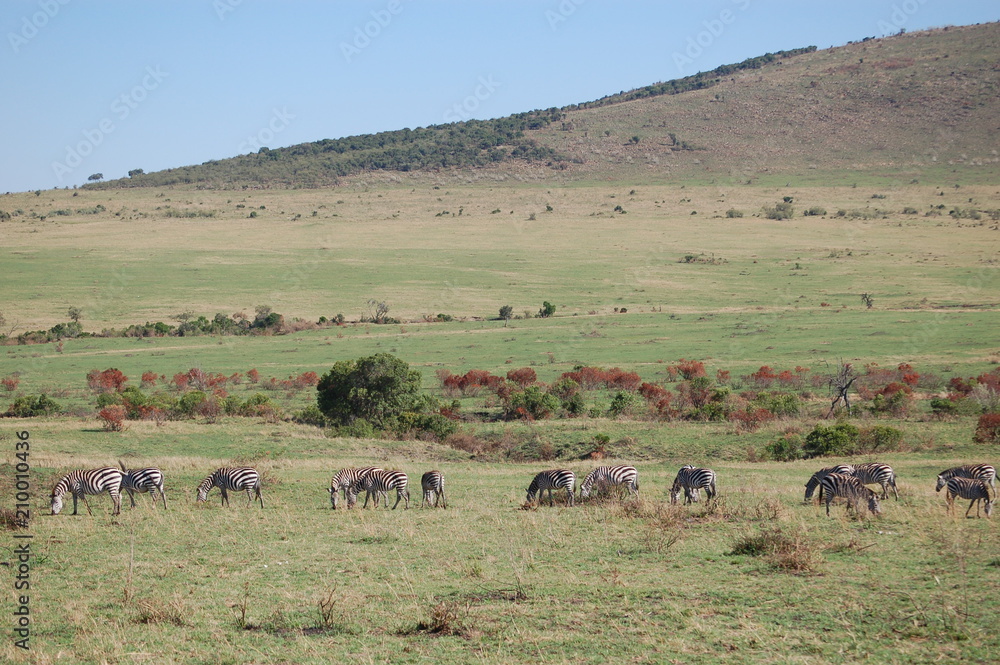 Kenya