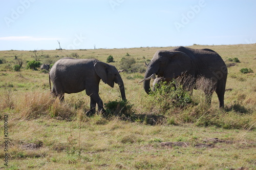 Kenya