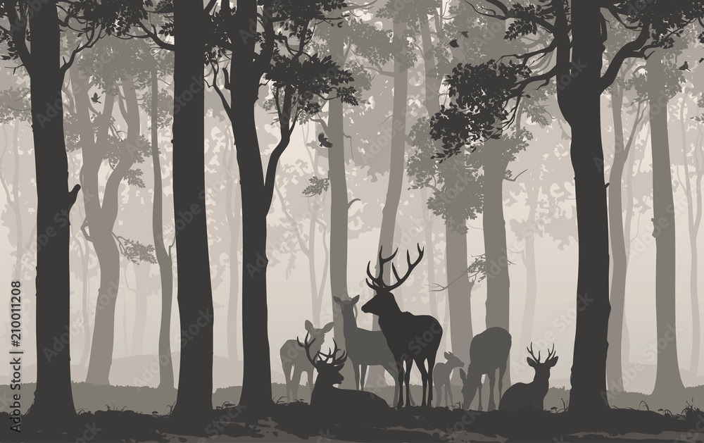 Fototapeta premium Naturalne tło z sylwetką lasu ze stadem jeleni. Bezszwowe tło poziome. Ilustracji wektorowych