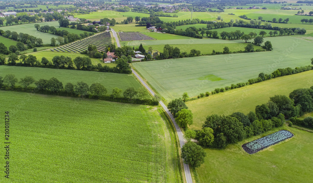 Drohnenflug und Luftaufnahme über einem Maisfeld