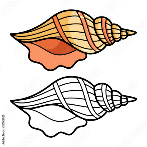 Cartoon sea shell isolated on white