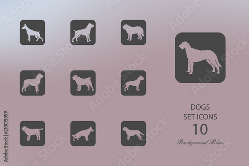 Dogs. Set of flat icons on blurred background