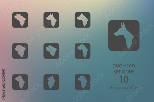 Dog head. Set of flat icons on blurred background