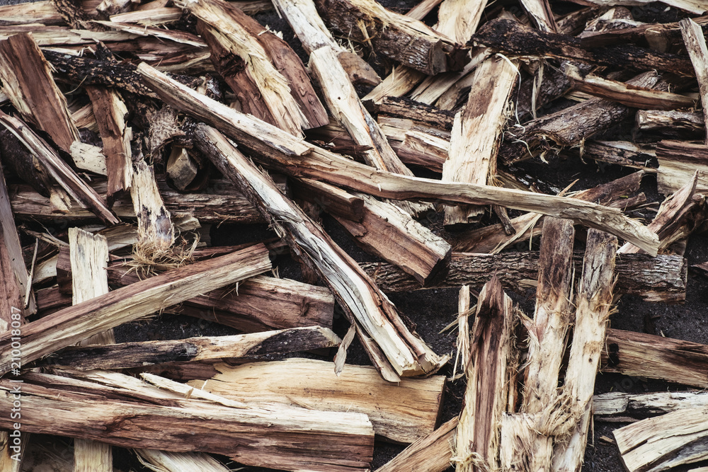 Freshly cut woods. Selective focus. Filled frame. Freshly cut woods. Selective focus. Filled frame.