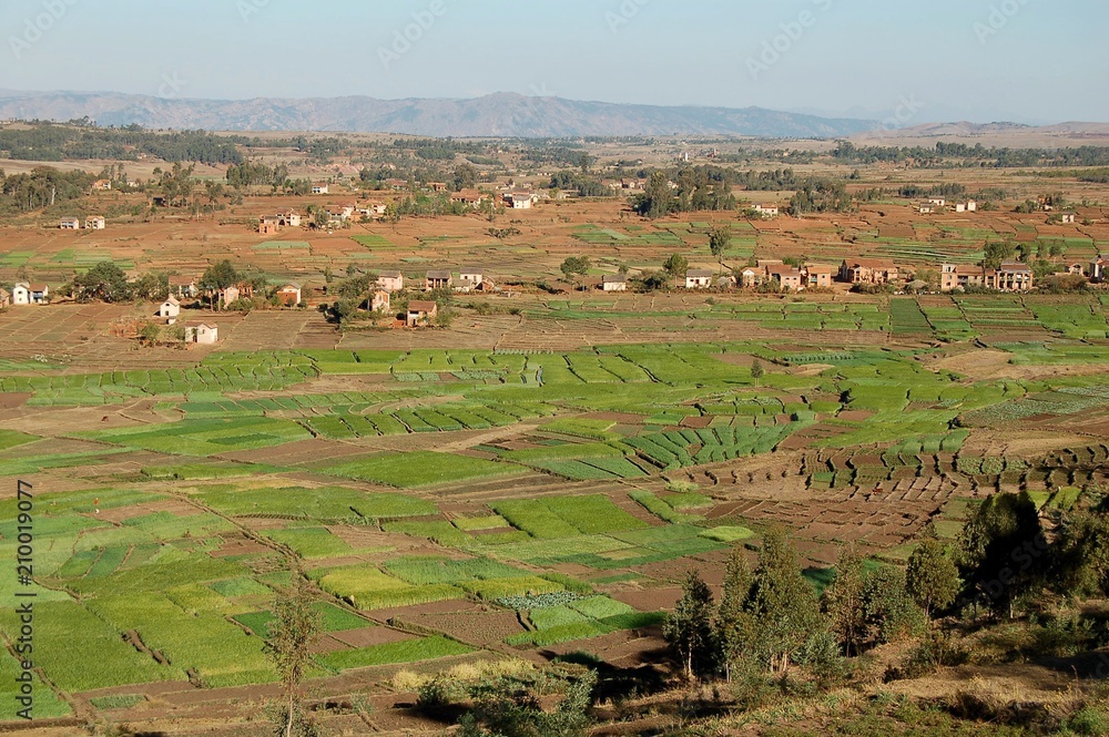 Fototapeta premium Madagascar