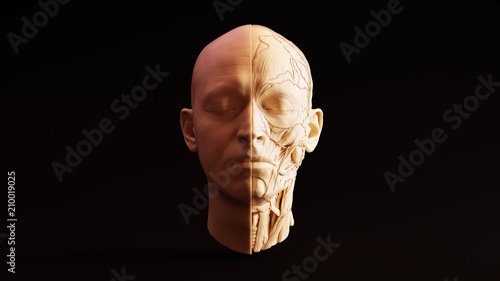 Foto White Chocolate Clay Anatomical Ecorche Human Head 3d illustration