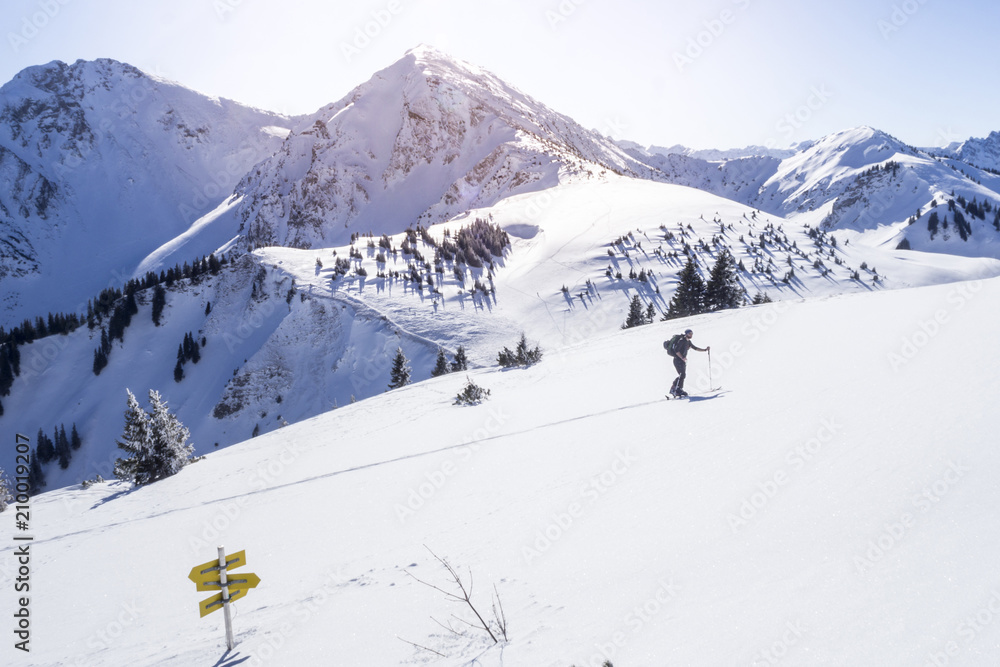 Skitourengeher in den Alpen