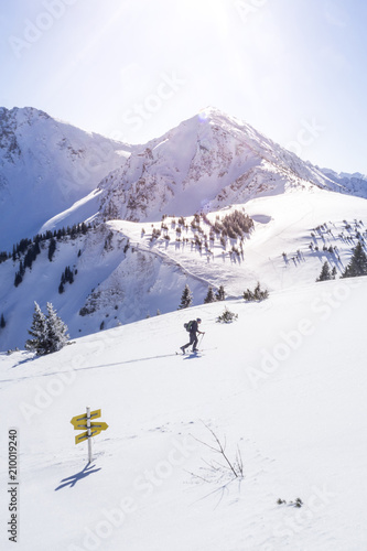 Wallpaper Mural Skitourengeher in den Alpen Torontodigital.ca