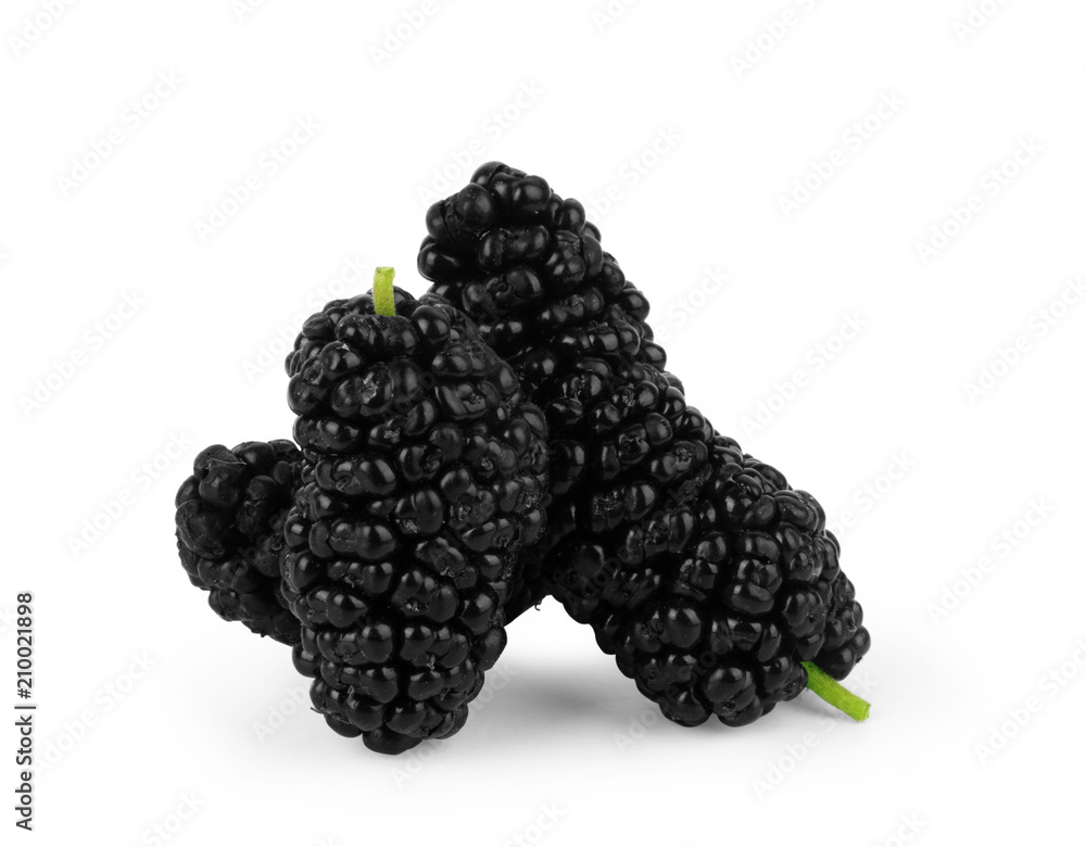 Mulberry berry with leaf isolated on white background - obrazy, fototapety, plakaty 