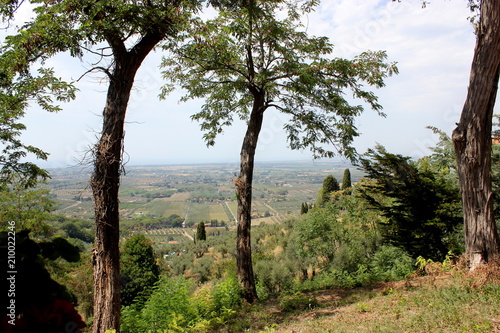 Eine wunderschöne Aussicht in einem toskanischem Dörfchen Castagneto Carducci / a beautiful landscape in the small village of Castagneto Carducci in Tuscany