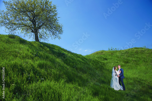 happy newlyweds are on a green hilly meadow on a tree background, photos of lovers in nature © Антон Фрунзе