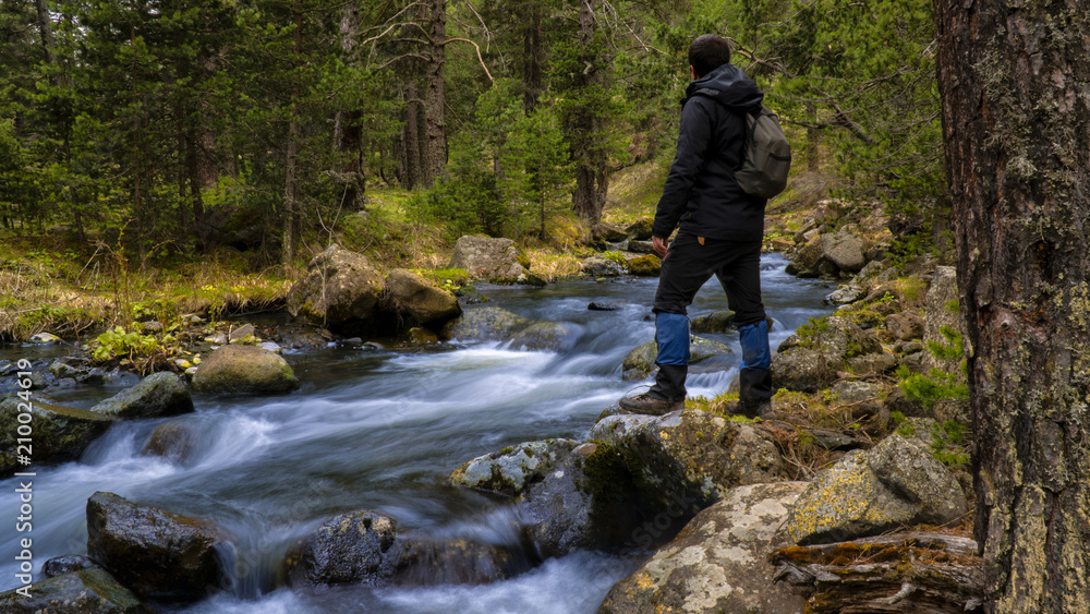 camper who strolls by the river running through the forest