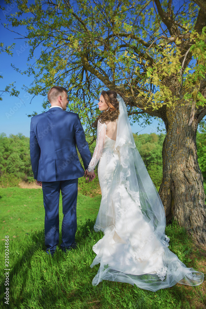 happy newlyweds are on a green hilly meadow on a tree background, photos of lovers in nature happy newlyweds are on a green hilly meadow on a tree background, photos of lovers in nature