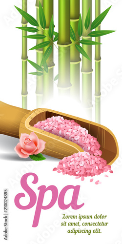 Spa lettering, bamboo and salt in scoop. Spa salon advertising poster design. Typed text, calligraphy. For leaflets, flyers, brochures, posters or banners.