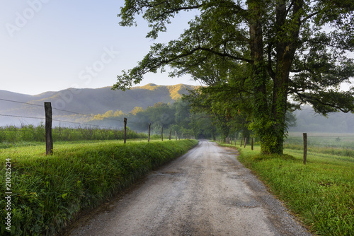 Gravel Road on Foggy Morning - Smoky Mountains photo