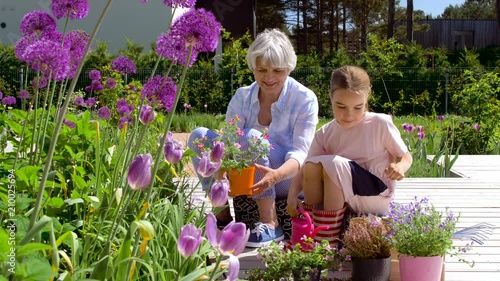 gardening, family and people concept - happy grandmother and granddaughter planting flowers at summer garden