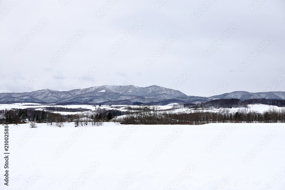 Fototapeta premium 3