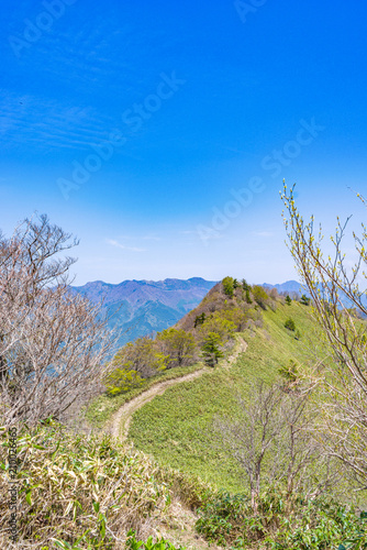 高知県の山