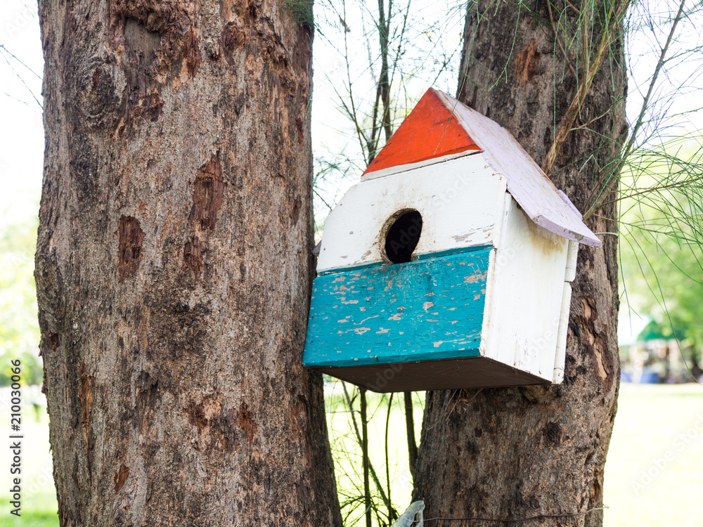 Colorful Bird Houses in the park Hanging on a tree, The bird house was placed at various points.birdhouse forest with many brightly colored bird houses built to attract Colorful Bird Houses in the park Hanging on a tree, The bird house was placed at various points.birdhouse forest with many brightly colored bird houses built to attract