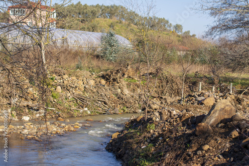 ağaçlar photo