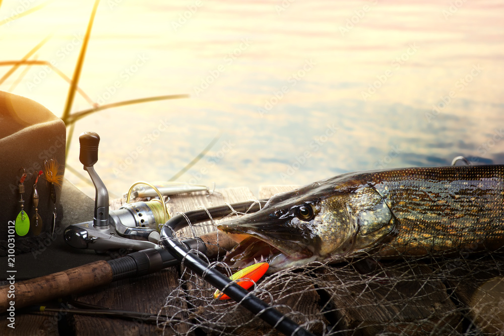 Successful fishing. Caught Pike fish and fishing tackle on wooden Dock  Stock Photo