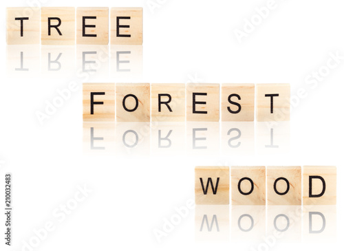 Black tree, forest, wood word.