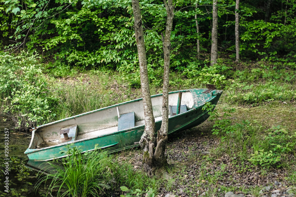 Aqua Rowboat Pulled up on the Bank Aqua Rowboat Pulled up on the Bank