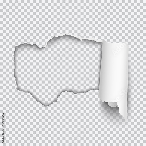 Vector realistic hole torn in white paper with rolled edge and transparent background