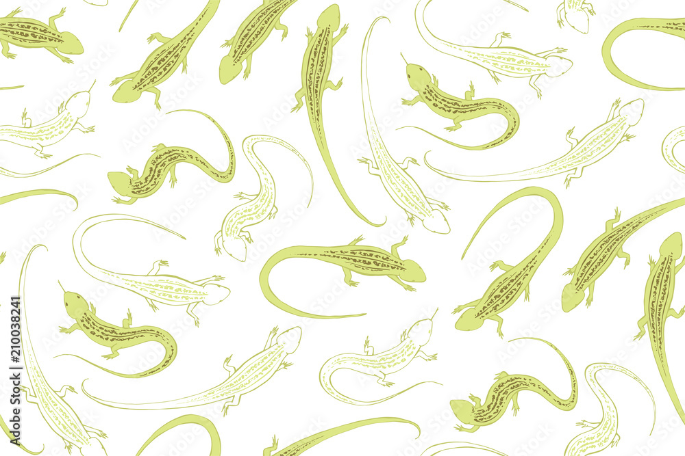 The green lizard. An ordinary steppe lizard with a pattern on its back. Reptiles, graphic.
The green lizard. An ordinary steppe lizard with a pattern on its back. Reptiles, graphic.