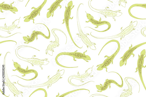 The green lizard. An ordinary steppe lizard with a pattern on its back. Reptiles, graphic.
