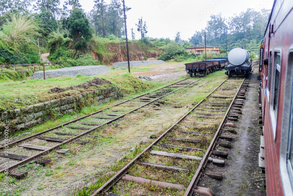 Naklejka premium Lokalny pociąg przejeżdżający przez stację Ambewela na Sri Lance