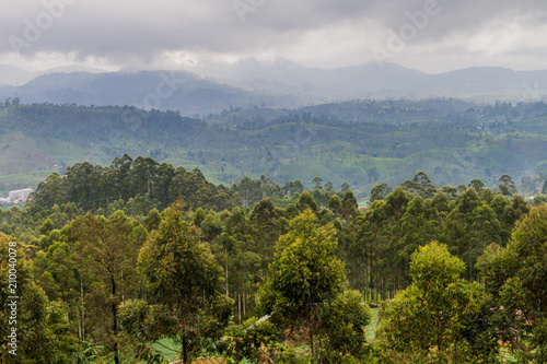 Landscape near Nanu Oya village  Sri Lanka