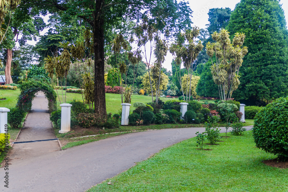 Paths in Peradeniya Royal Botanical Gardens near Kandy, Sri Lanka Paths in Peradeniya Royal Botanical Gardens near Kandy, Sri Lanka