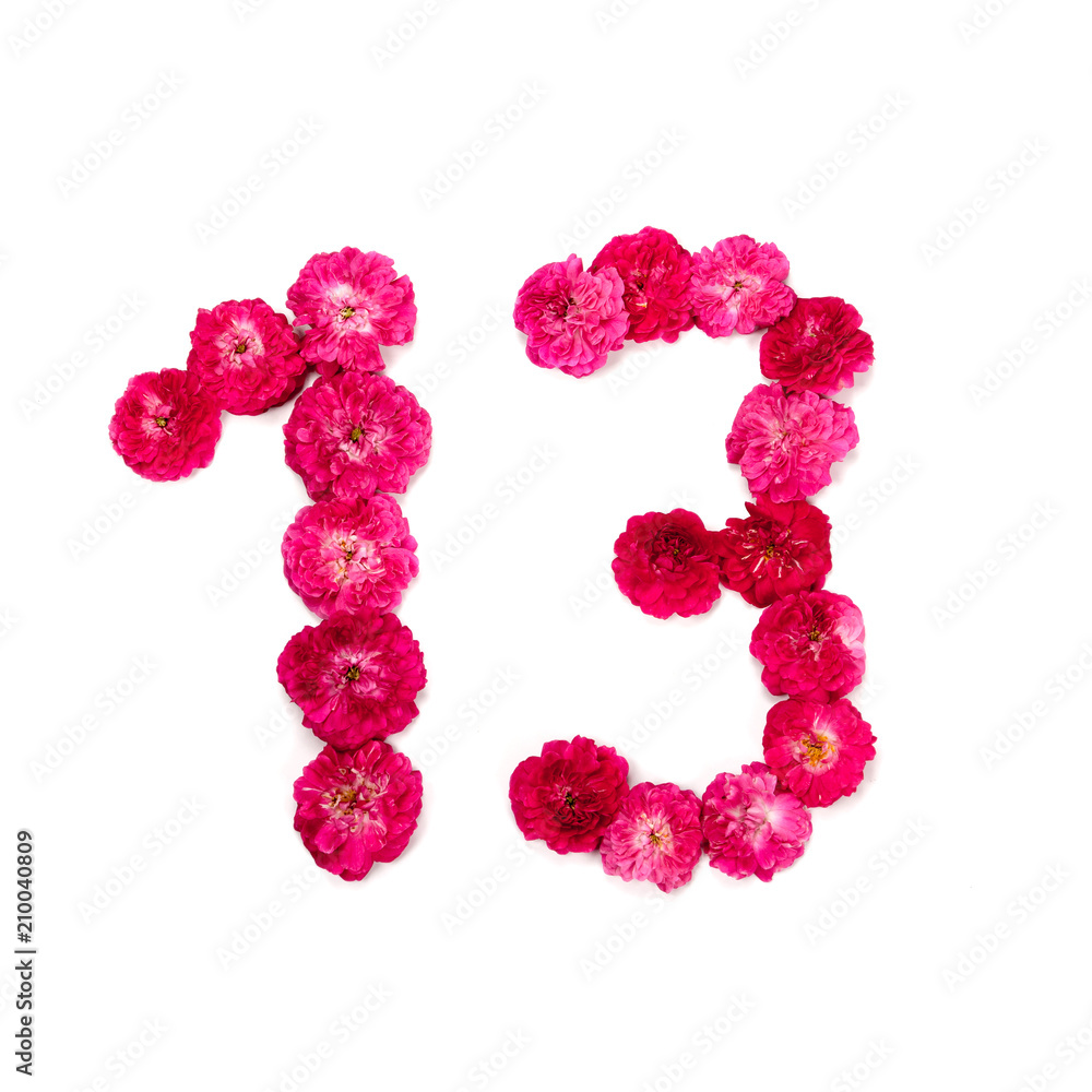число 13 из цветов красной и розовой розы на белом фоне. Типографический  элемент для дизайна. Цветочные числа, цифры, изолят, изолированный Stock  Photo | Adobe Stock
