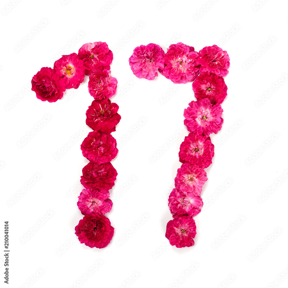число 17 из цветов красной и розовой розы на белом фоне. Типографическийэлемент для дизайна. Цветочные числа, цифры, изолят, изолированный StockPhoto